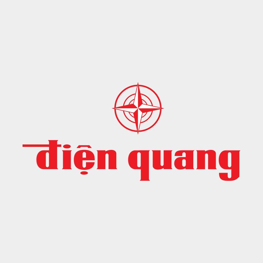 Bút Thử Điện Điện Quang ĐQ ETP08 GR (Đầu Vít Dẹp, 190 mm, Màu Xám Trong)