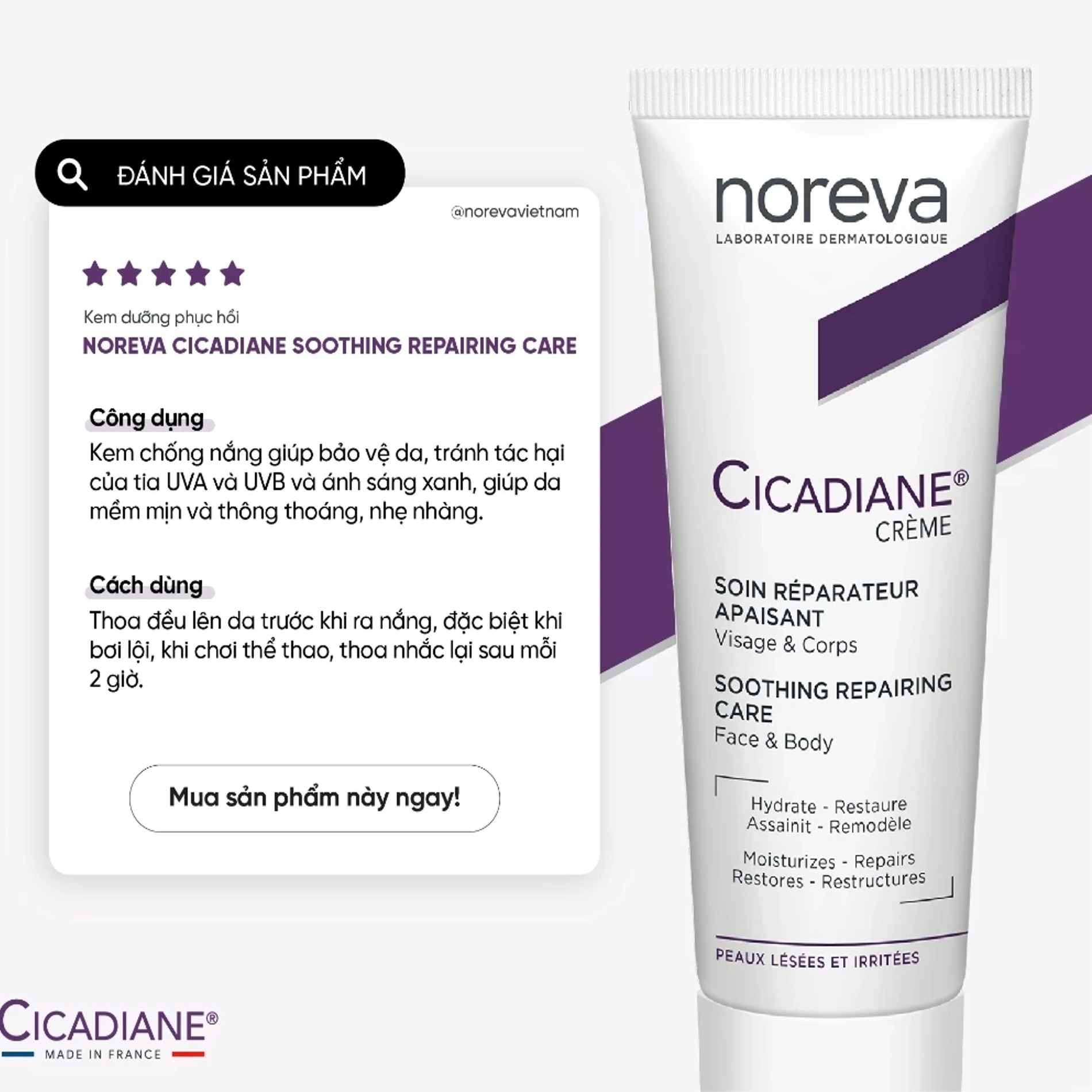 Kem Dưỡng Phục Hồi Da, Giảm Sắc Tố Noreva Cicadiane Cream Soothing Repairing Care 40ml