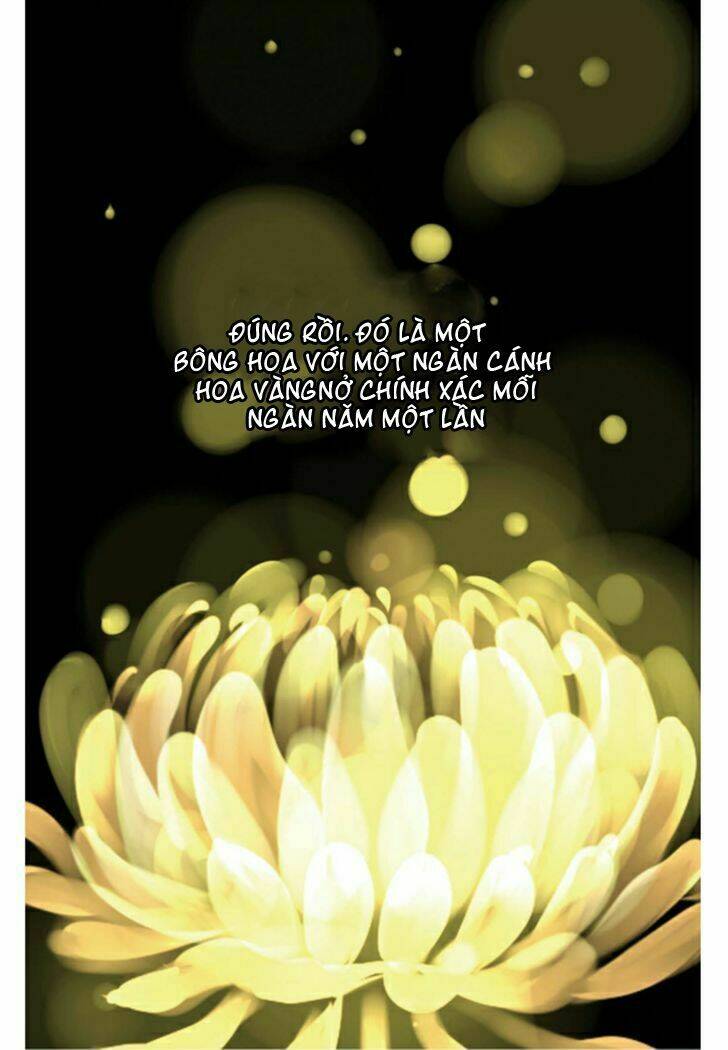 một ngàn cánh hoa chapter 1 6