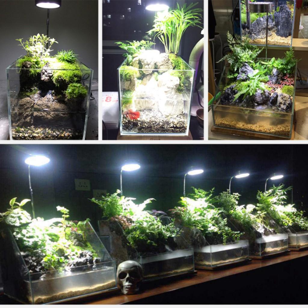 Đèn Led Kèm Đế Gỗ Bambo - Led Thớt cho bể cá cảnh, thuỷ sinh, bán cạn