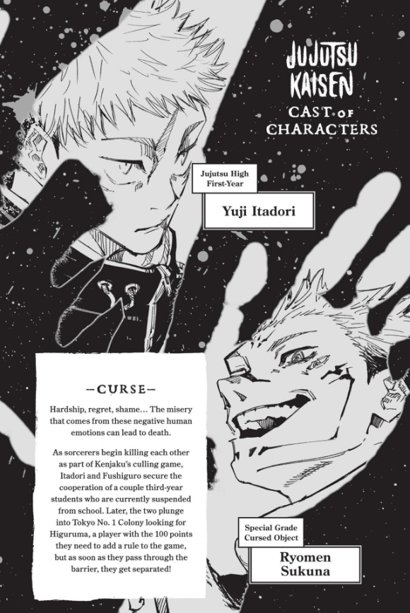 Jujutsu Kaisen 19 (English Edition)