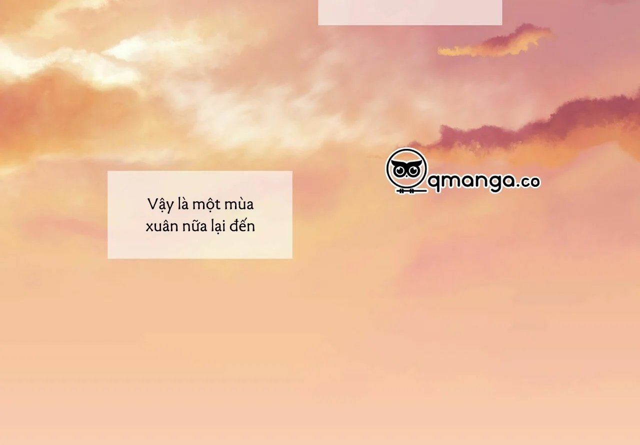 không chốn yêu đương chapter 81 111