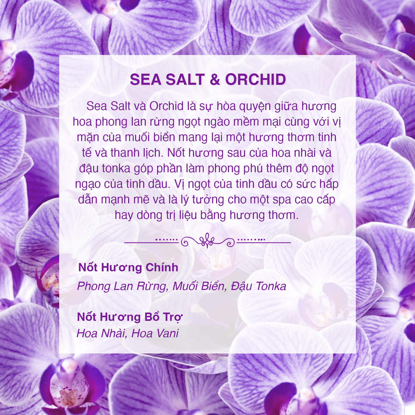Tinh Dầu Thơm Nomad Premium Fragrance Oil - Sea Salt & Orchid