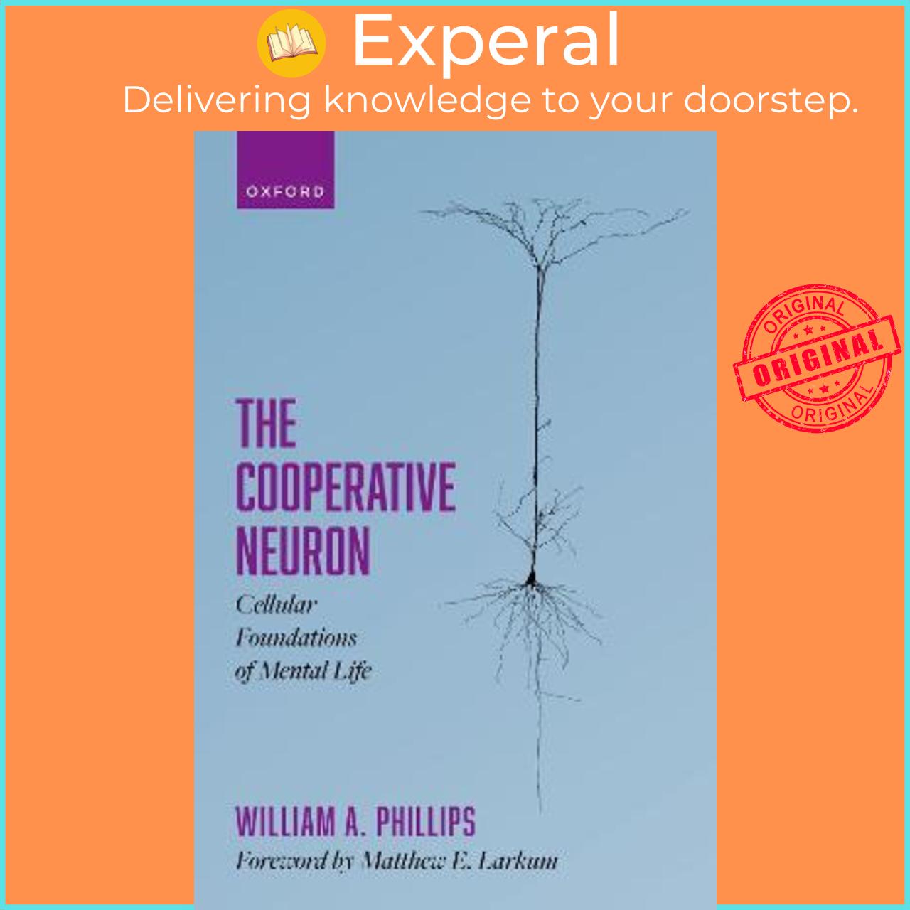 Sách - The Cooperative Neuron : Cellular Foundations of Mental Life by William A. Phillips