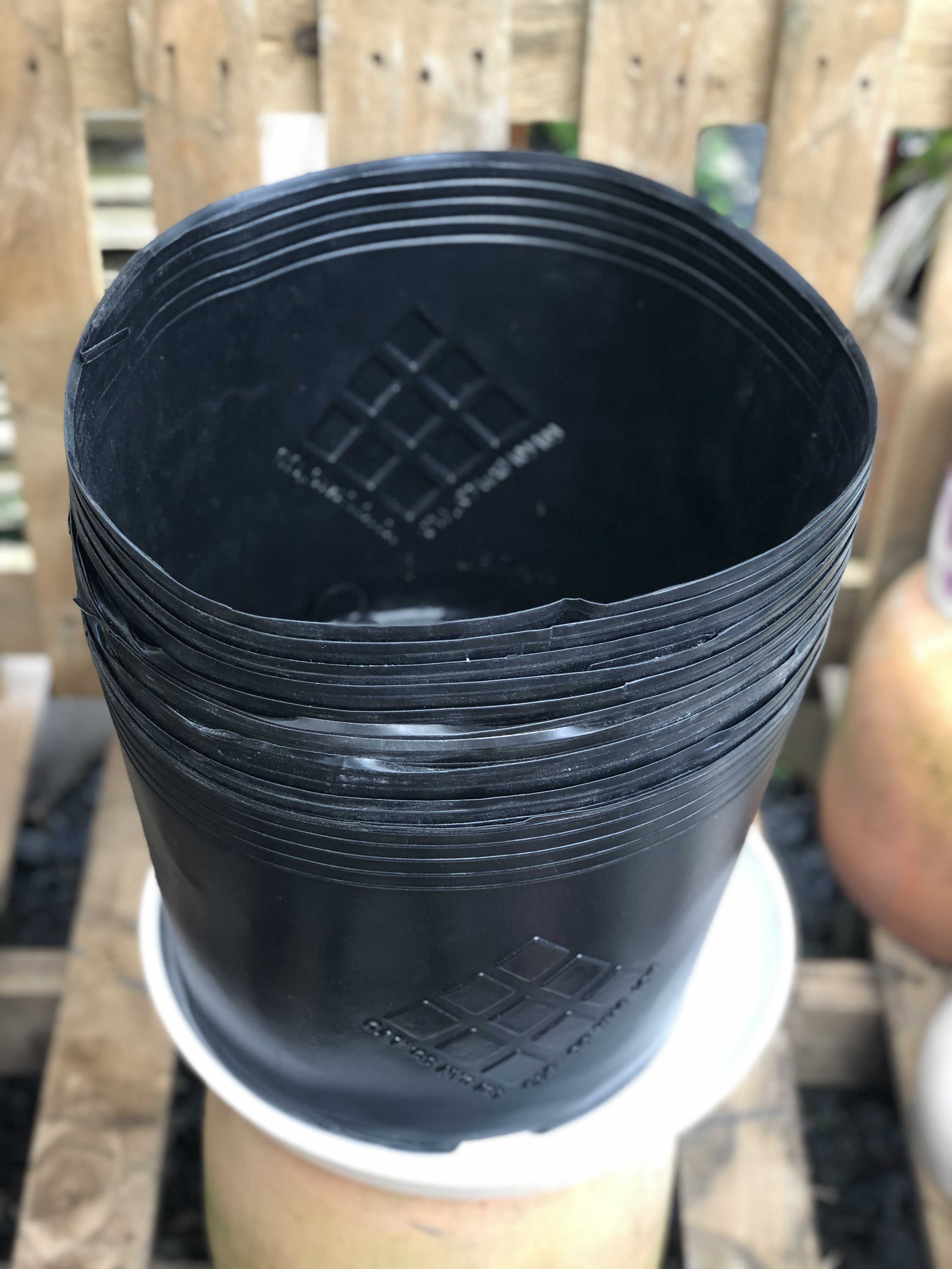 Bộ 10 chậu nhựa trồng cây lâu năm DS5 kích thước fi 330 x 270 mm