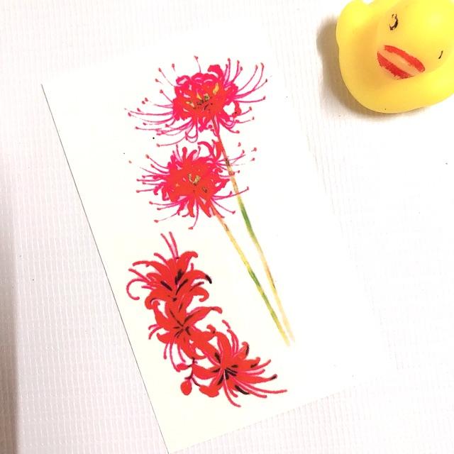 Hình xăm dán hoa bỉ ngạn kết hợp 10x6cm