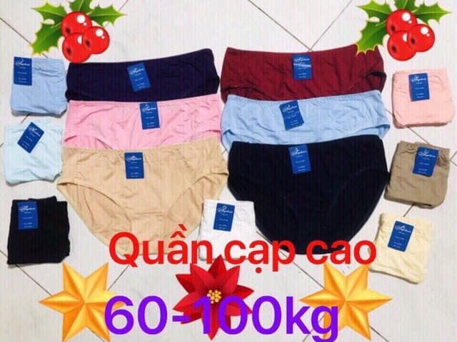 5 QUẦN LÓT COTTON BIGSIZE