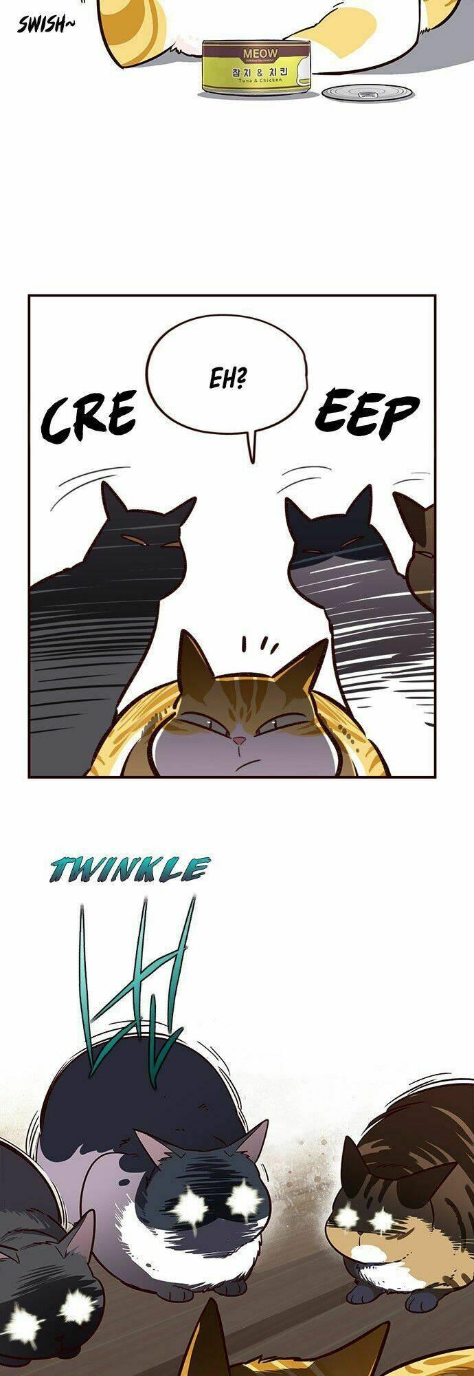 biến thân thành mèo chapter 6 42