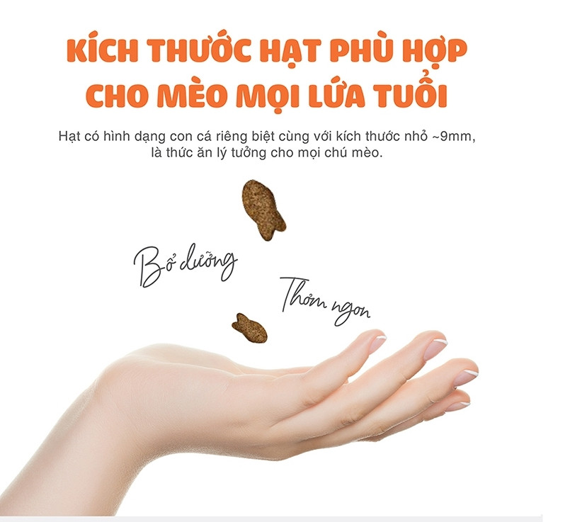 - Thức ăn hạt cho mèo mọi lứa tuổi Tuổi Cat's eye nhập khẩu Hàn Quốc ( túi zip )