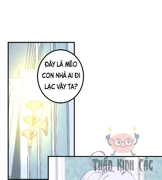 kiểm soát tuyệt đối chapter 3 9