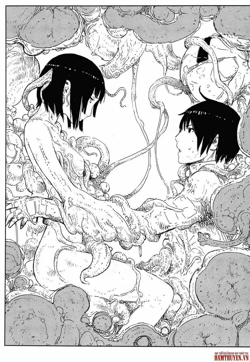 sidonia no kishi chapter 42 5