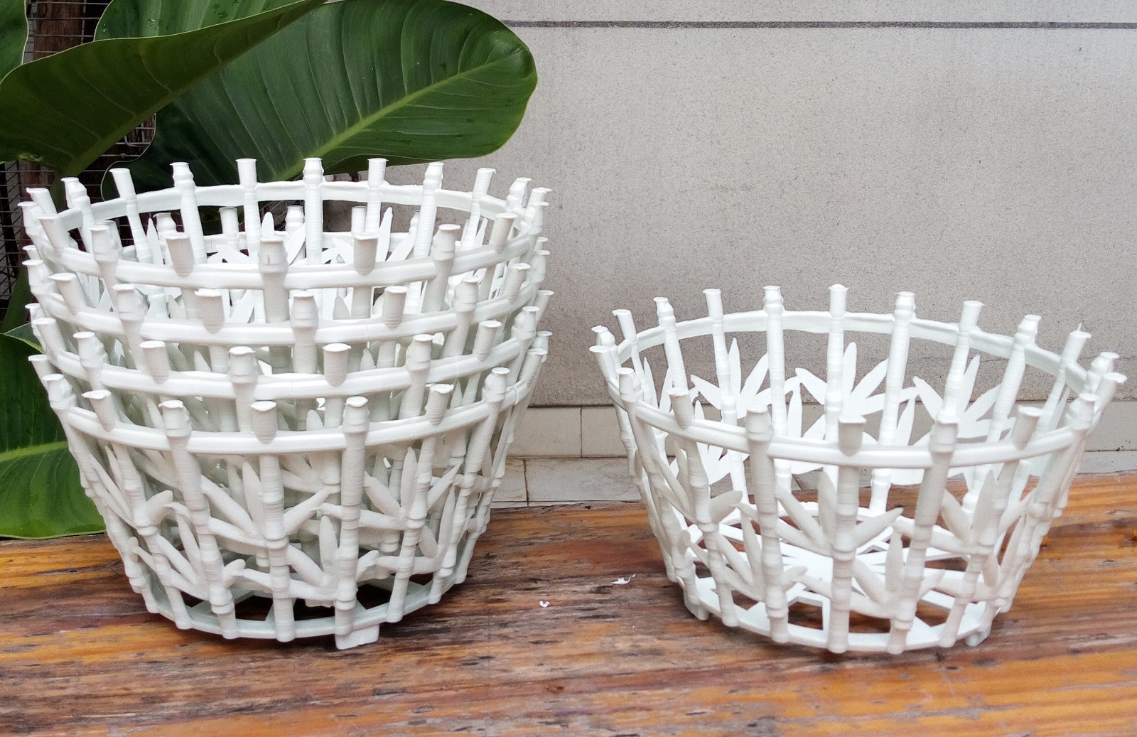 Bộ 10 chậu trồng lan lá tre đường kính 22cm
