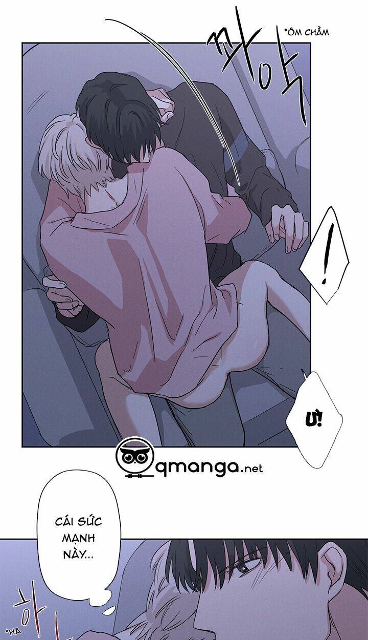 trốn tìm chapter 8 22