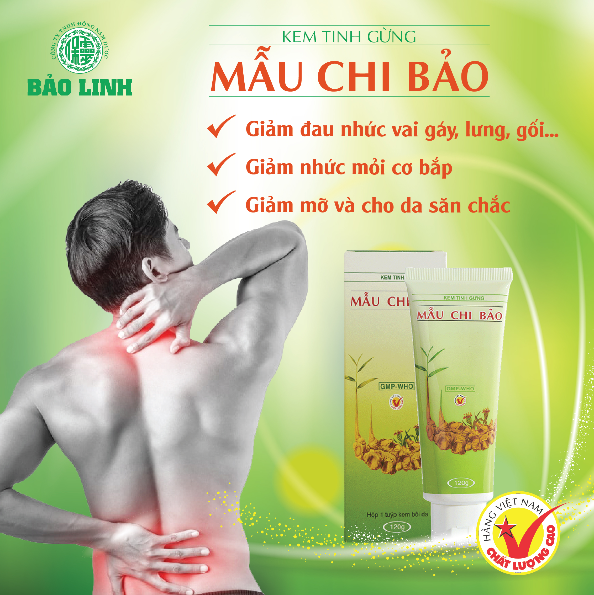 Kem Gừng Mẫu Chi Bảo đông nam dược Bảo Linh 120gram. Giúp cải thiện các trường hợp đau cơ, khớp, đau lưng, đau vai, nhức mỏi cơ bắp