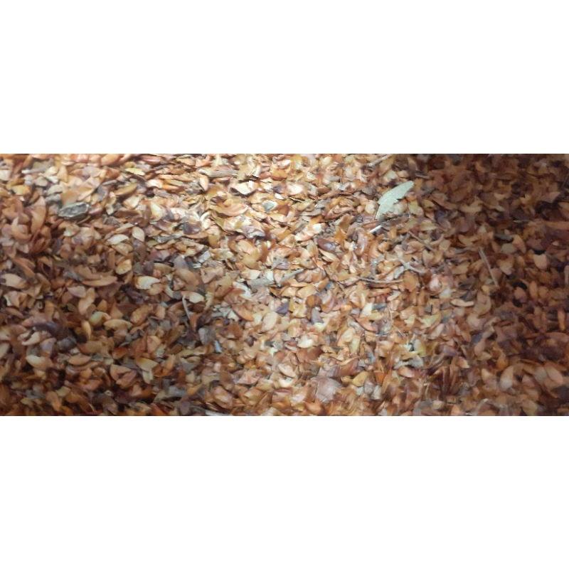 250 gram hạt bằng lăng tím giống
