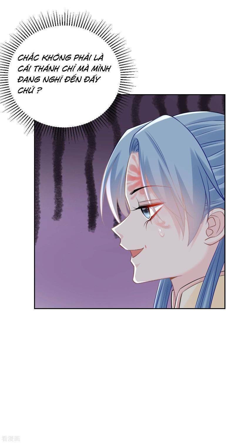 độc y đích nữ chapter 88 7