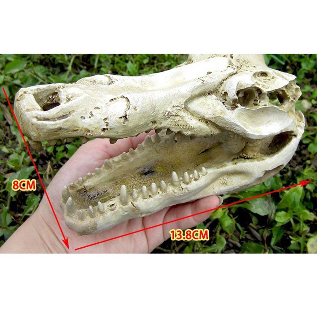 Reptile Terrarium Ornament Lizard Snake Cave Crocodile Skull  Tank Decor