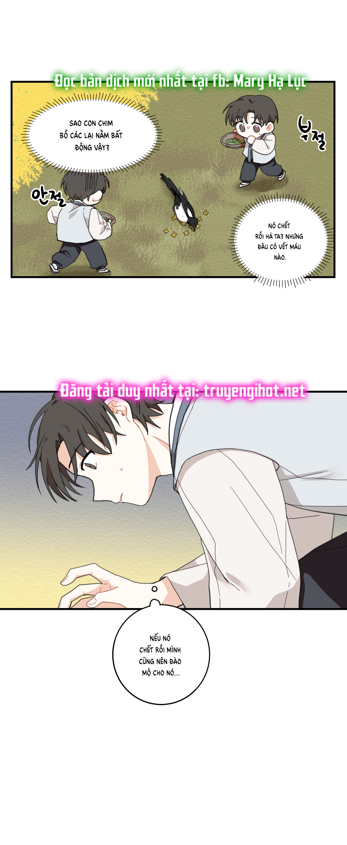 [18+] con đường hoa chuông vàng - liên kiều rơi chốn này chapter 1.1 23