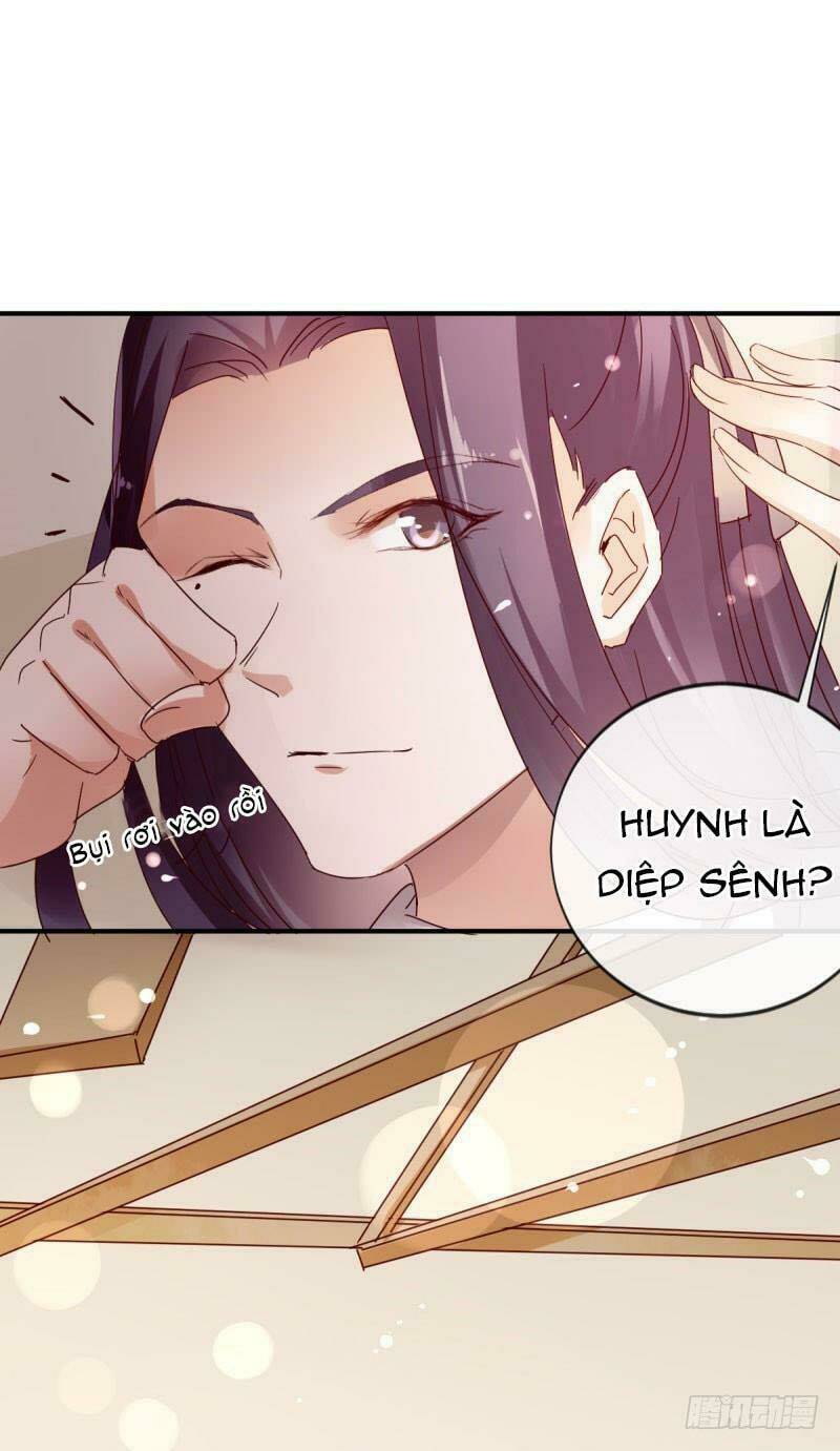 không còn lối về (đám thần thú này có chút manh động hệ liệt) chapter 4 19