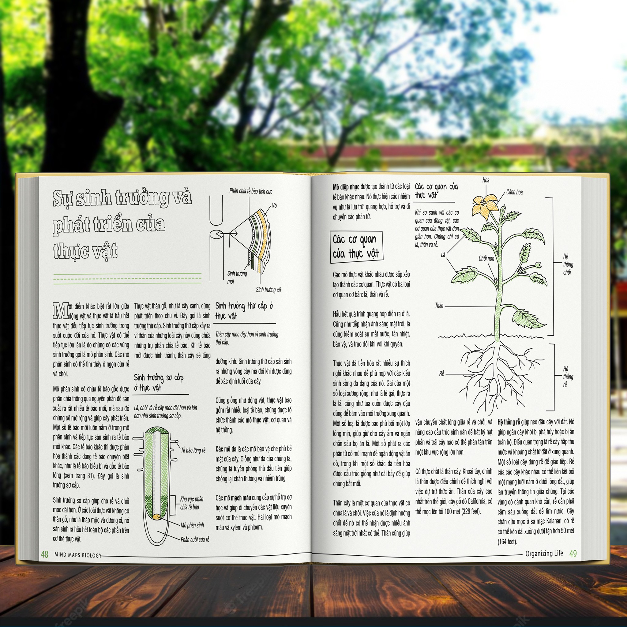 Combo 2 Cuốn Sơ Đồ Tư Duy Vật Lý + Sơ Đồ Tư Duy Sinh Học - Á Châu Book, Bìa cứng In Màu - Nâng Cao Kiến Thức Vật Lý và Sinh Học Bằng Sơ Đồ Tư Duy