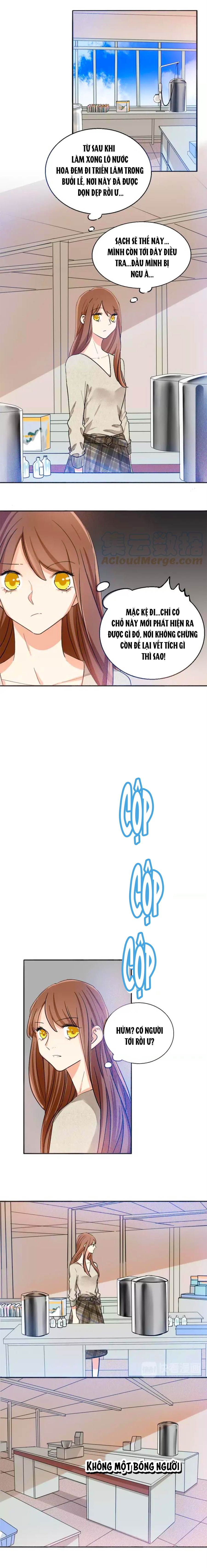 mùi hương lãng mạn chapter 49 5