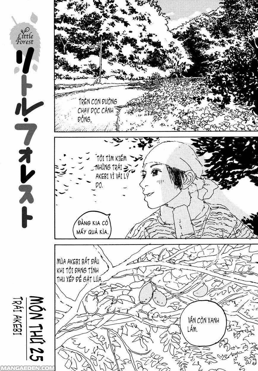little forest chapter 25 1