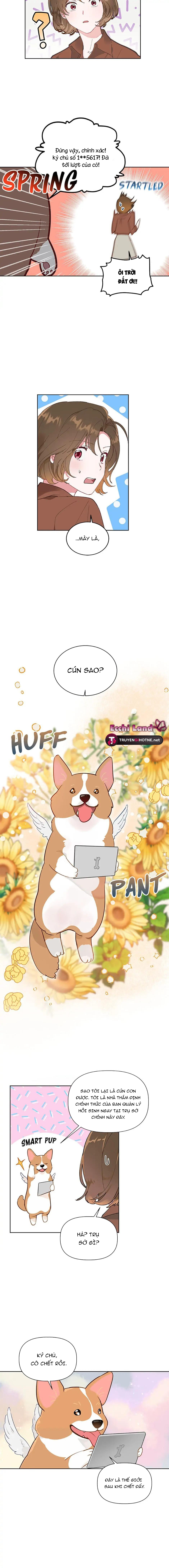 đỉnh cấp xuyên không chapter 1.1 8