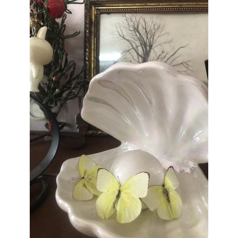 Bướm khô trang trí