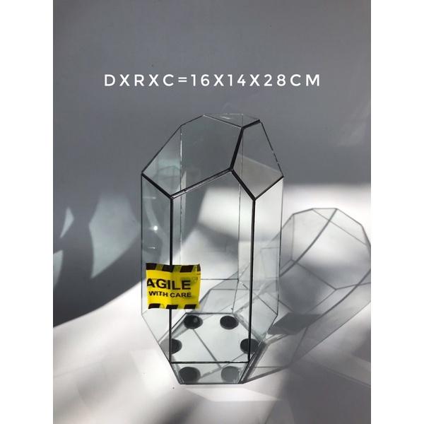 Bể Terrarium Đa Giác Setup Bán Cạn Để Bàn Làm Việc-Vườn Nhiệt Đới