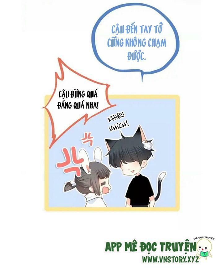 con tim rung động 2 chapter 43.5 15