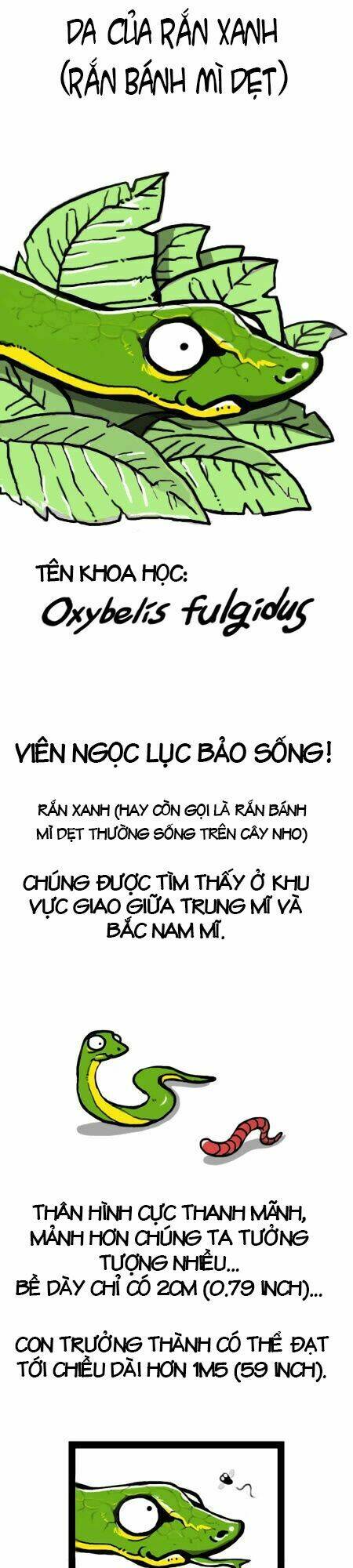 earth, human, and animal chapter 4 3