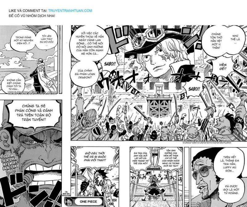 đảo hải tặc - one piece chapter 1054 14