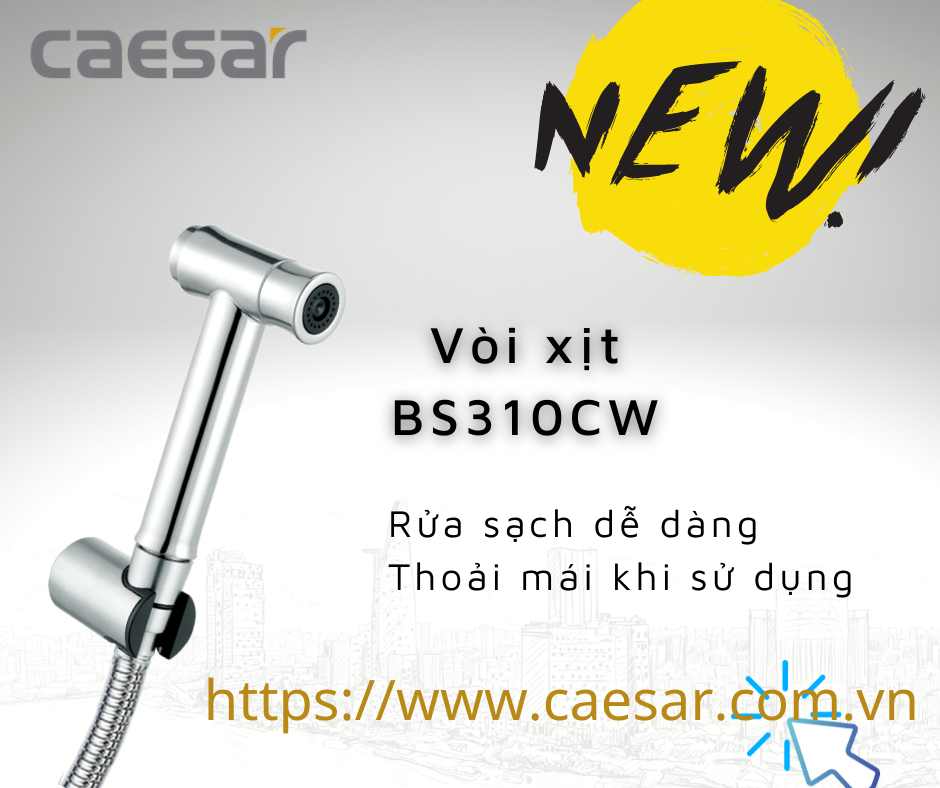 VÒI XỊT INOX 304 - BS310CW CAESAR