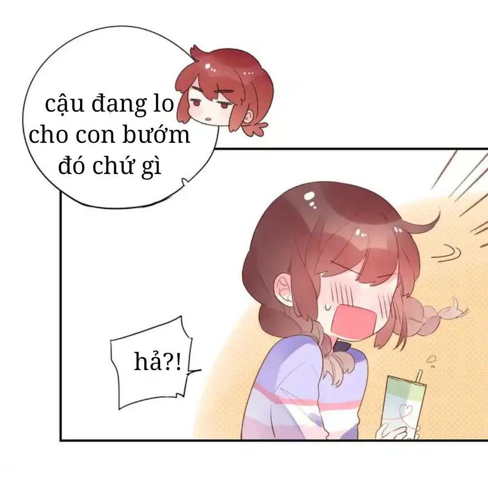 sos! tôi đã yêu một con sâu bướm (phần 2) chapter 46 33