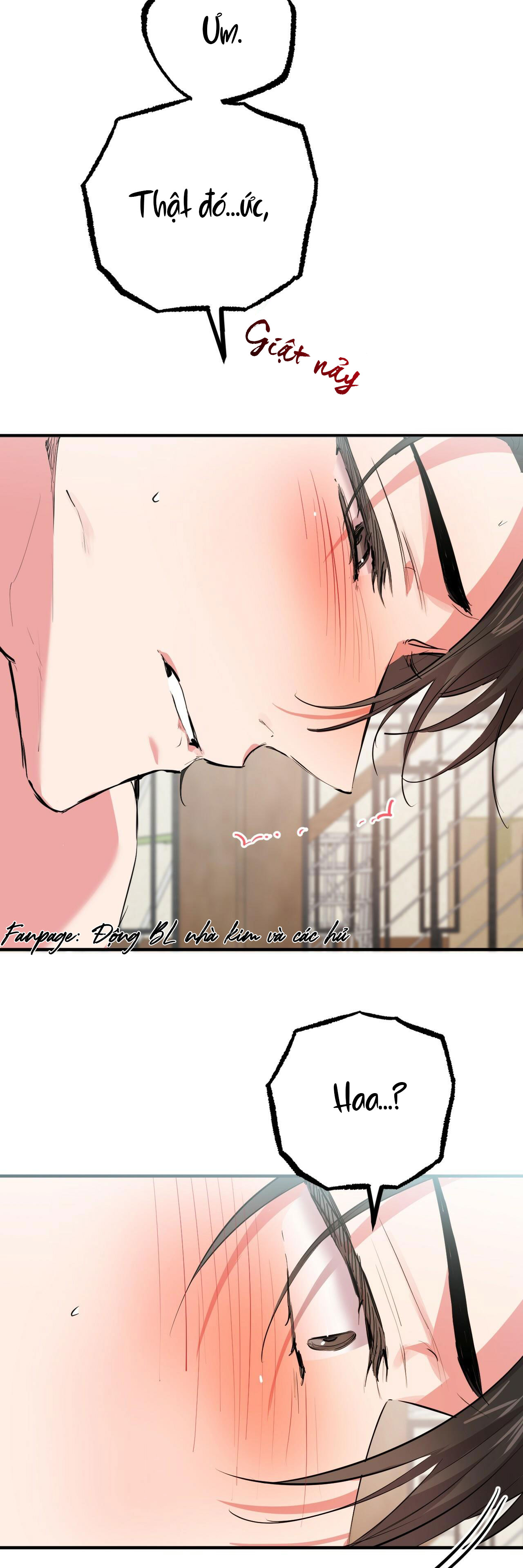 những chú thỏ của hapypy chapter 29 12