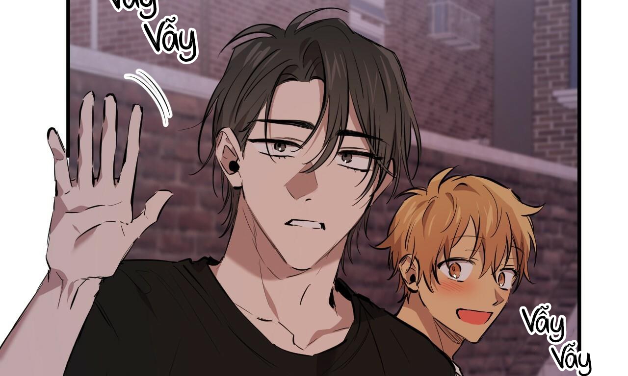 đàn thỏ của habibi chapter 51 268