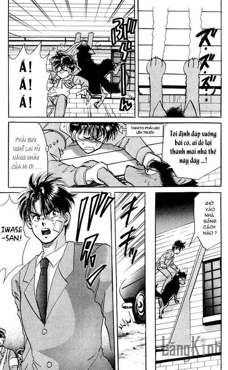 wild half chapter 1 37