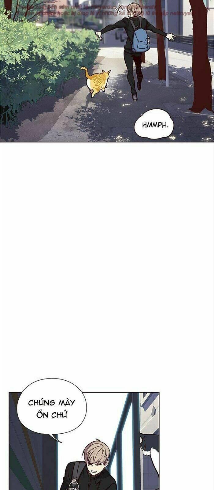 biến thân thành mèo chapter 36 92