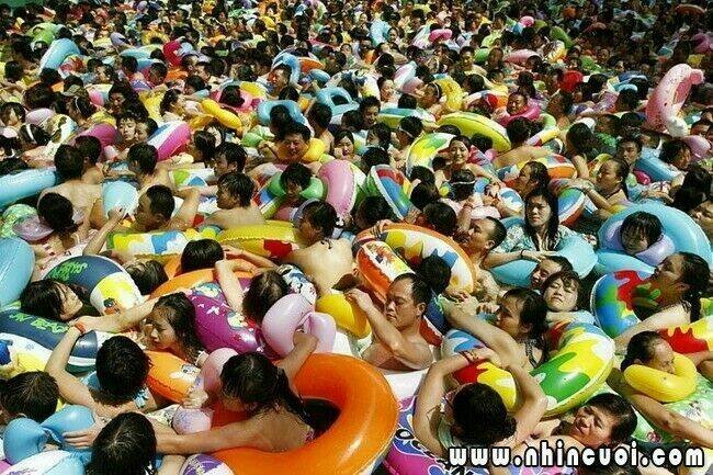 rage comic-troll chapter 66 11