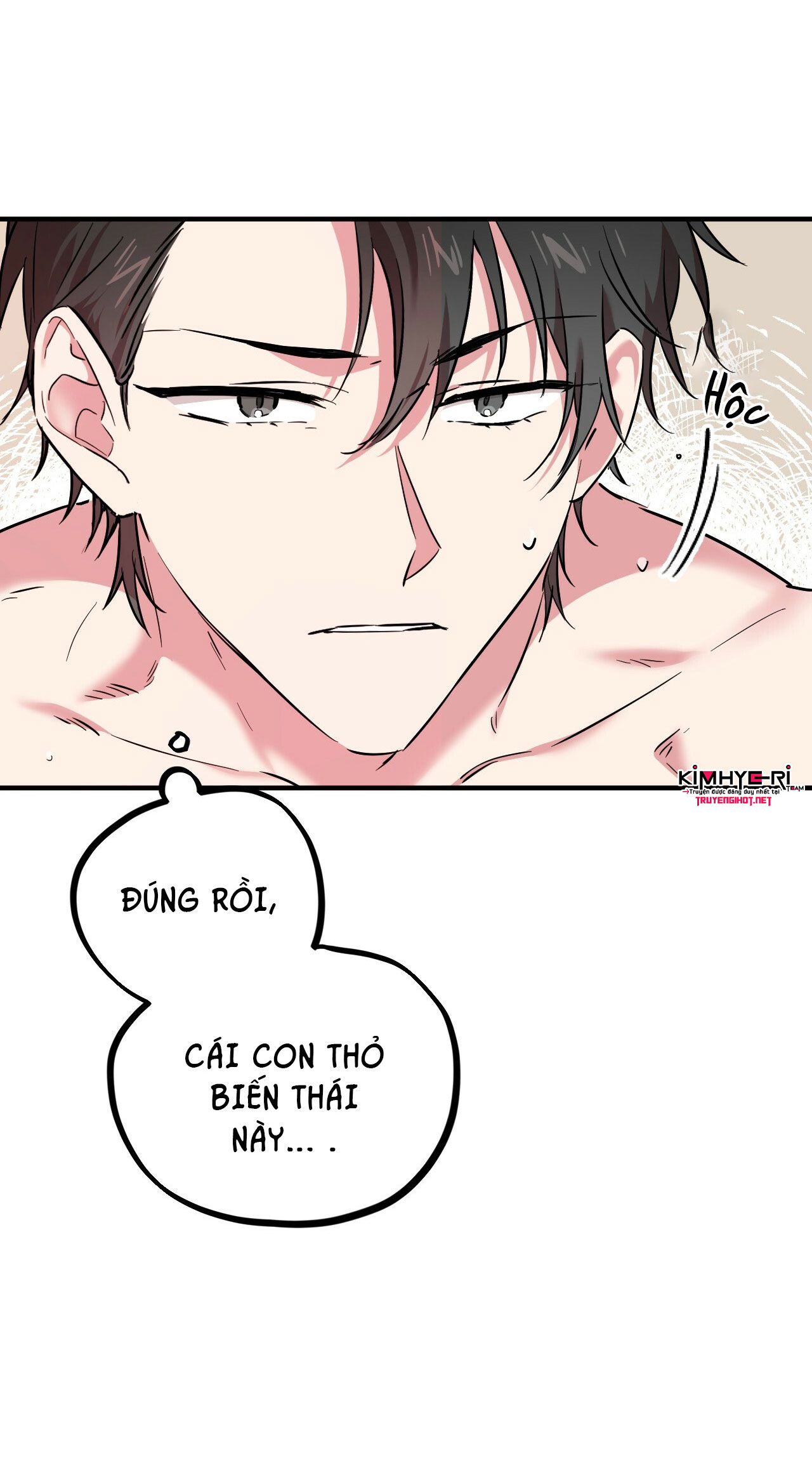 những chú thỏ của hapypy chapter 4 10