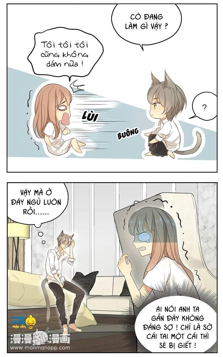 cứu mạng ! loài mèo thống trị thế giới rồi ! chapter 16 11