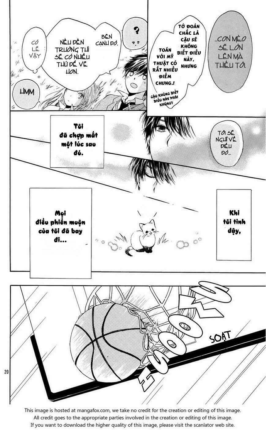 tổng hợp one shot. chapter 293 21