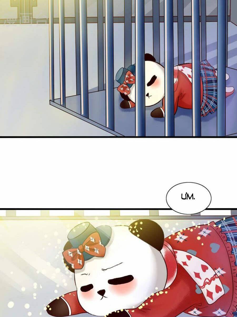 tôi bị gấu trúc nhìn trúng rồi chapter 5 19