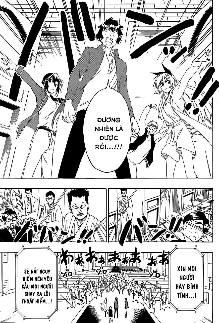 nisekoi - tình yêu giả tạo chapter 190 16