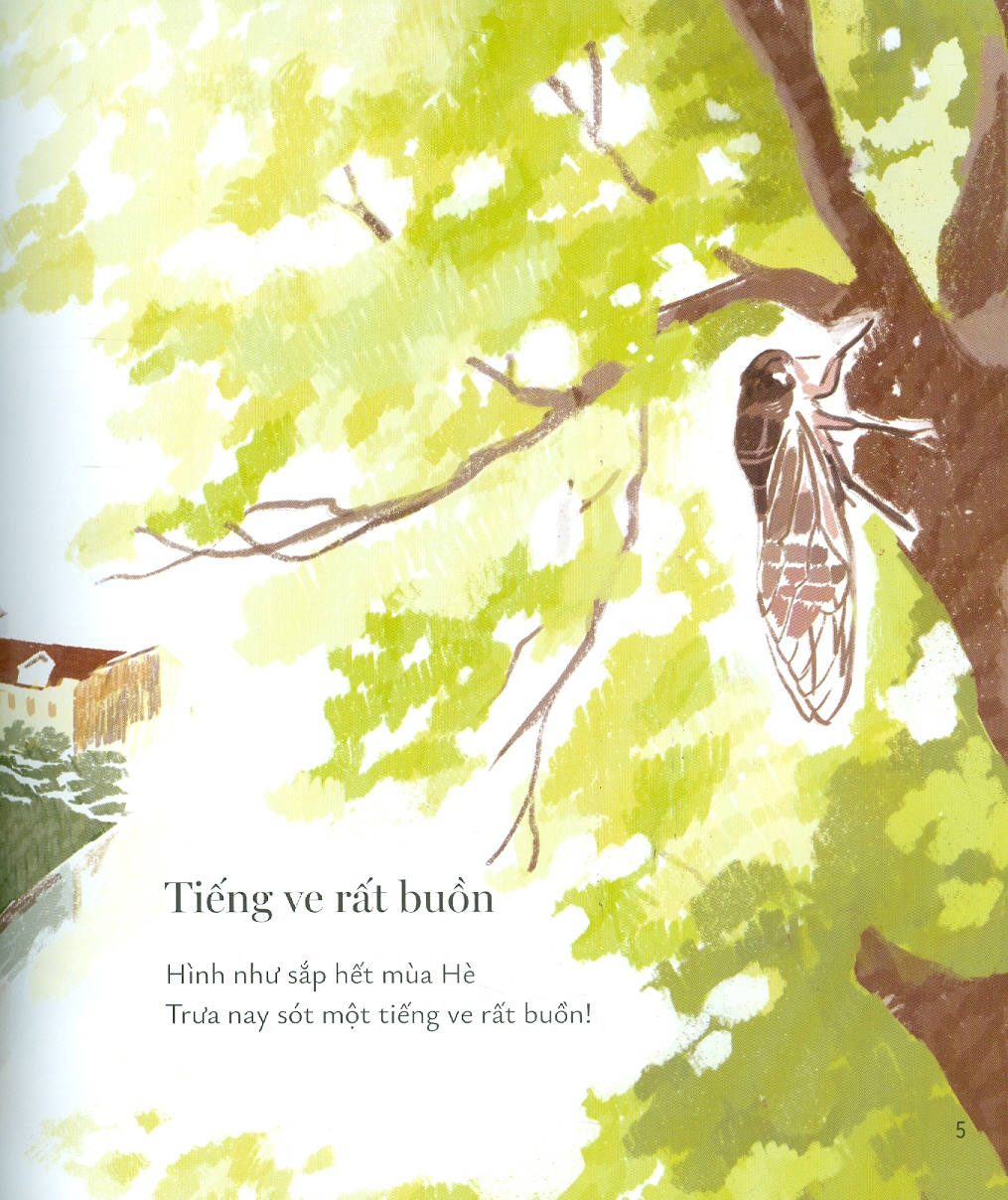 Sài Gòn Sót Mấy Con Ve