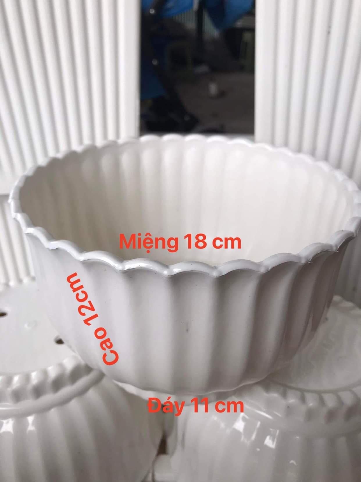 Chậu Nhựa Trắng Sọc 18 x 12 x11 - Chậu Nhưa Trông Cây Cảnh, Cây Hoa