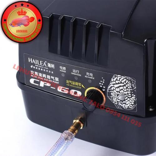 Máy Sủi Tích Điện Hồ Cá Hailea CP60 - Kèm Phụ Kiện 10 Mét Dây 5Li + 10 Cục Sủi Oxy