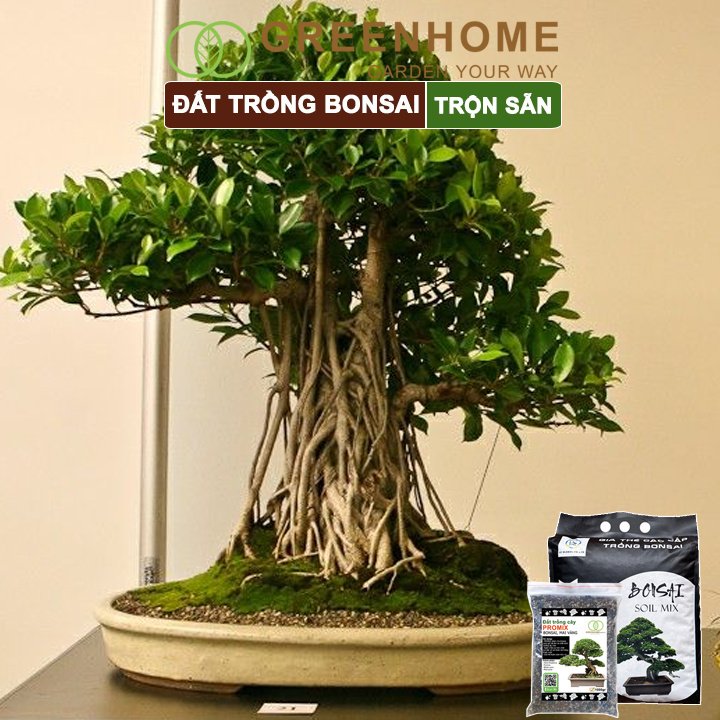 Đất Trồng Cây Bonsai Greenhome, Bao 500GR, Promix, Trộn Sẵn, Tiện Dụng, Giữ Ẩm Tốt, Thoáng Khí, Rễ Khoẻ, Thân To