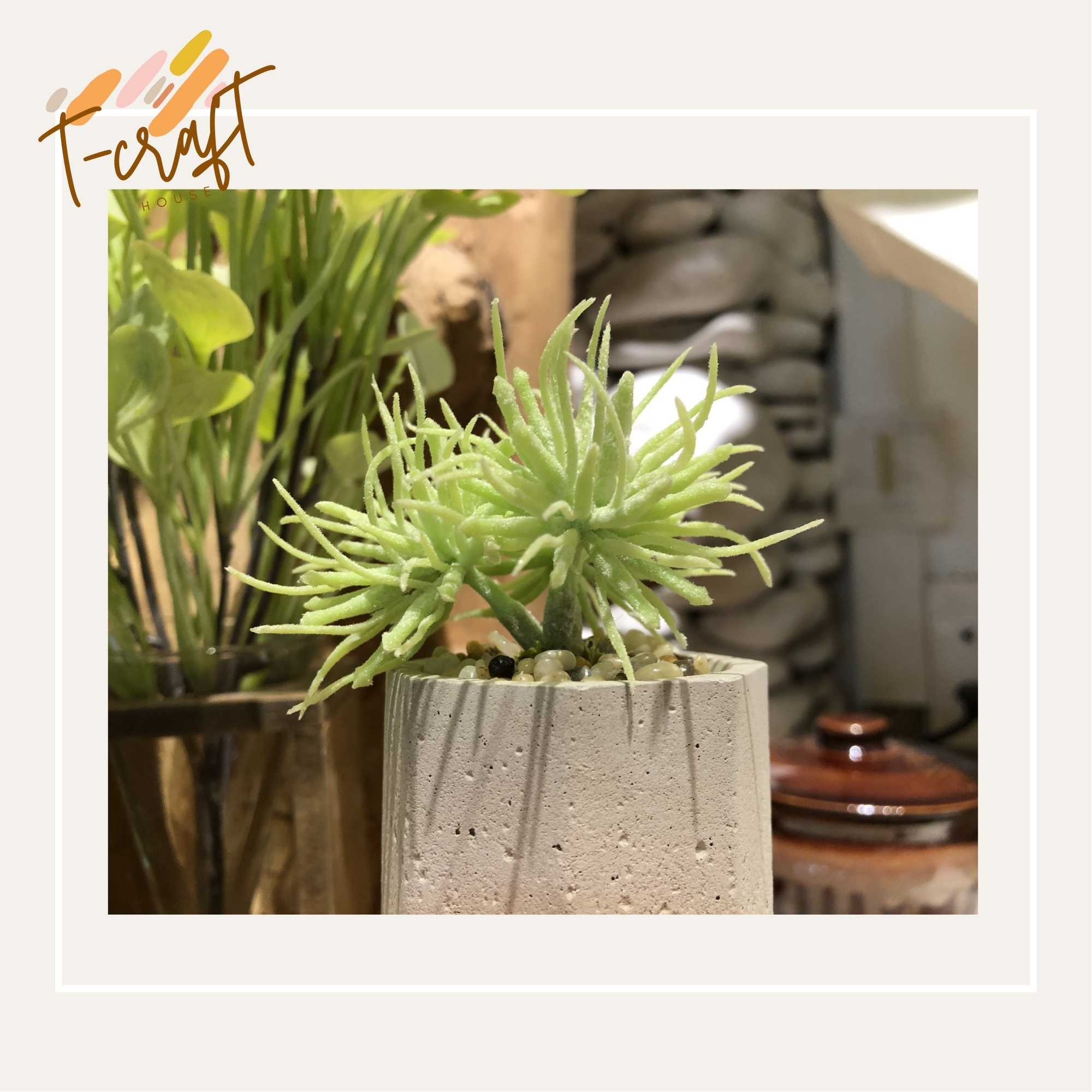 CÂY GIẢ CHẬU THẠCH CAO NHÀ LÀM NHIỀU MÀU SẮC CHO KHÔNG GIAN THÊM SỐNG ĐỘNG VÀ TƯƠI MÁT T.CRAFT HOUSE