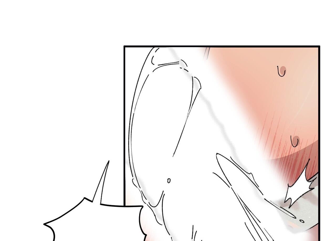 chàng dâu nhà họ kang chapter 44 147